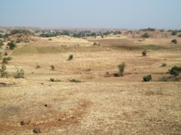 Neemkundiya村風景。